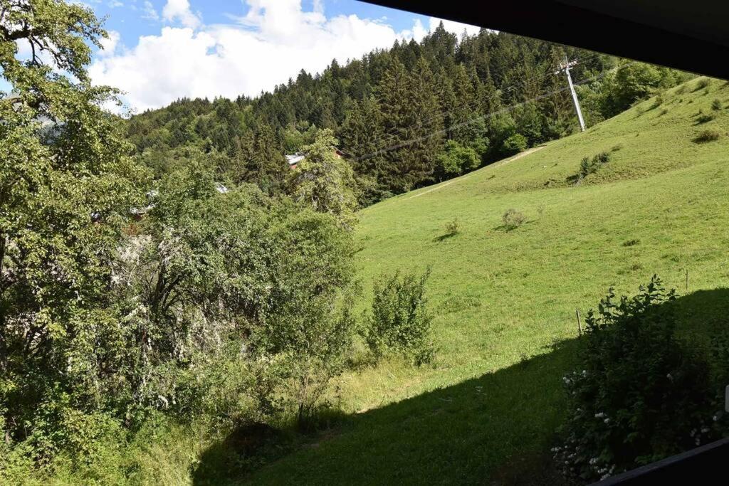 Les Cimes, Chaleureux Studio 4 Pers, 50M Du Telecabine, Vue Degagee Sur Les Pistes, Draps Non Compris Saint-Jean-dʼAulps Eksteriør bilde